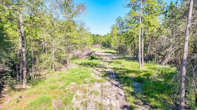 1150 County Road 037, Jasper, TX 75951 - photo 13