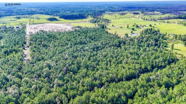 1150 County Road 037, Jasper, TX 75951 - photo 14