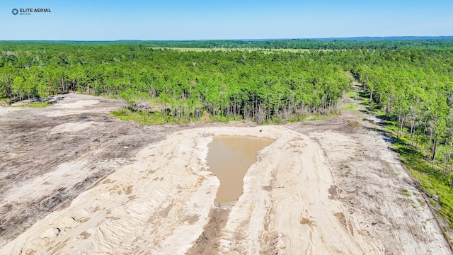 1150 County Road 037, Jasper, TX 75951 - photo 11