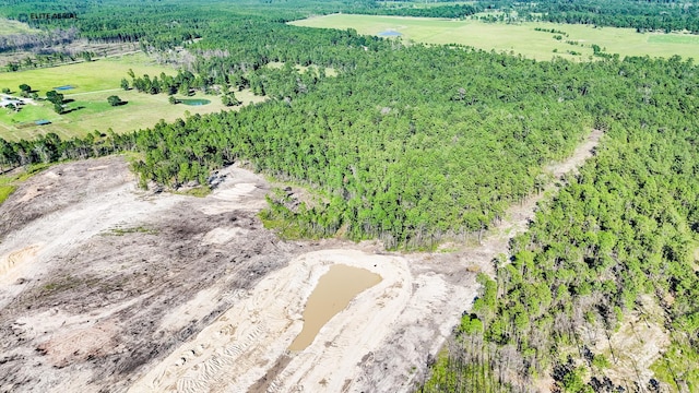 1150 County Road 037, Jasper, TX 75951 - photo 16