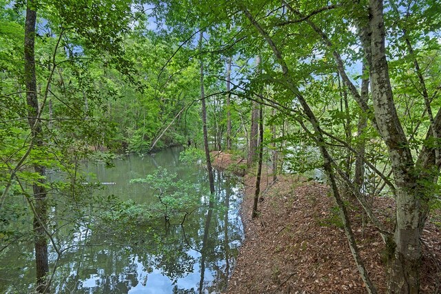380 County Road 029, Jasper, TX 75951 - photo 9