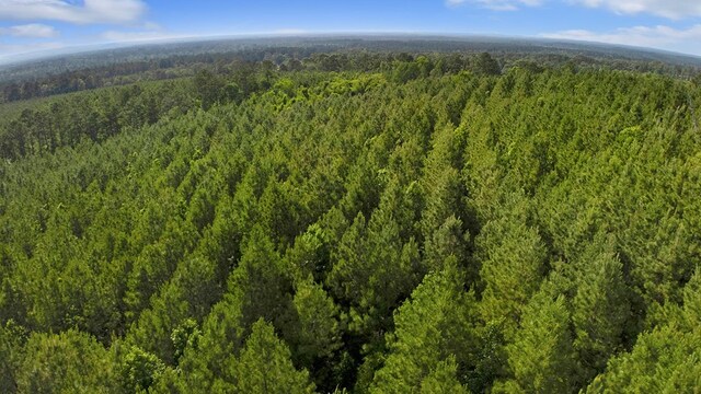 380 County Road 029, Jasper, TX 75951 - photo 35