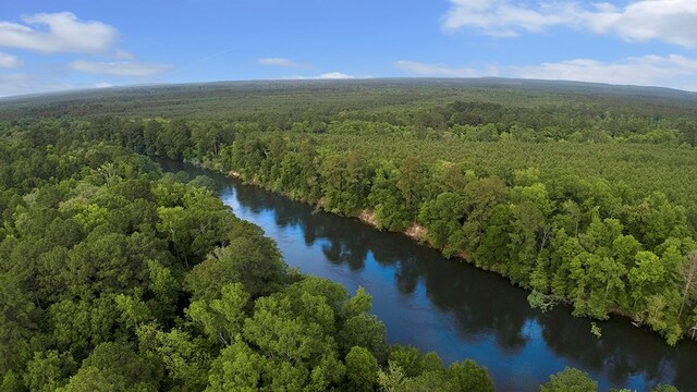 380 County Road 029, Jasper, TX 75951 - photo 3
