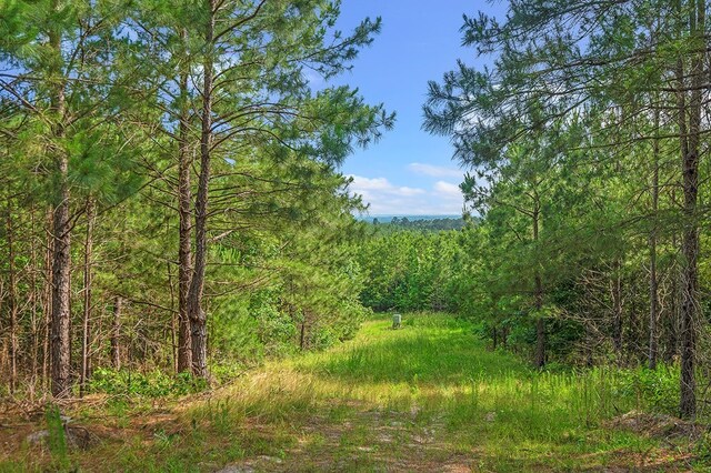 380 County Road 029, Jasper, TX 75951 - photo 20