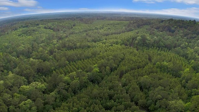 380 County Road 029, Jasper, TX 75951 - photo 32