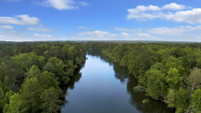 380 County Road 029, Jasper, TX 75951 - photo 5