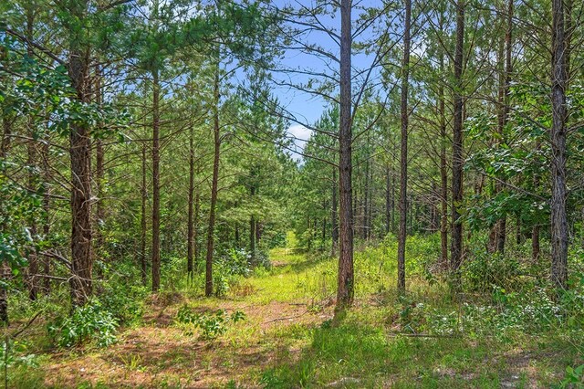 380 County Road 029, Jasper, TX 75951 - photo 28