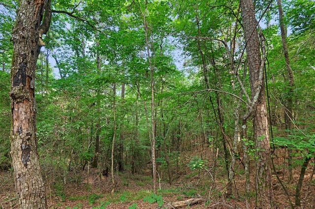380 County Road 029, Jasper, TX 75951 - photo 27