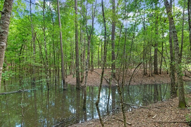 380 County Road 029, Jasper, TX 75951 - photo 10