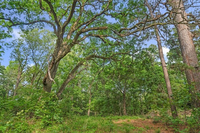 380 County Road 029, Jasper, TX 75951 - photo 12