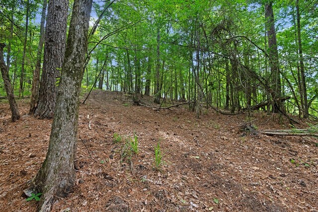 380 County Road 029, Jasper, TX 75951 - photo 26