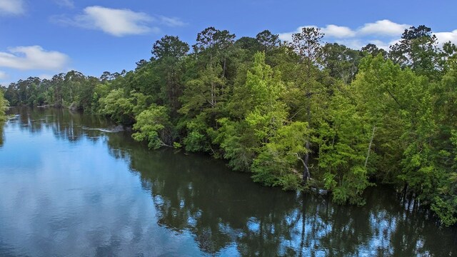 380 County Road 029, Jasper, TX 75951 - photo 4