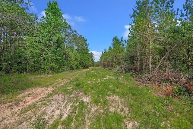 380 County Road 029, Jasper, TX 75951 - photo 25