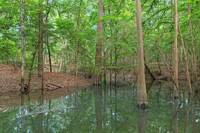 380 County Road 029, Jasper, TX 75951 - photo 8