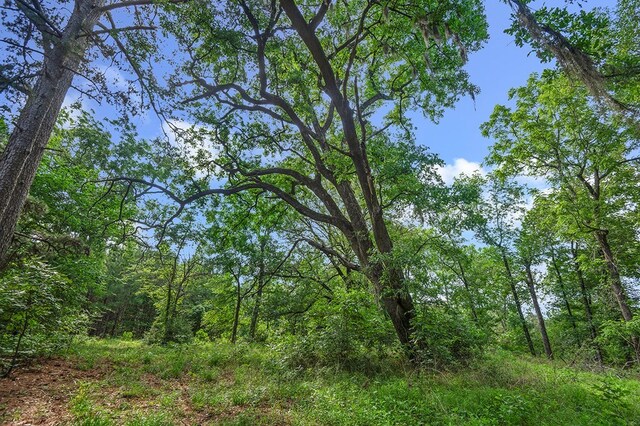 380 County Road 029, Jasper, TX 75951 - photo 11