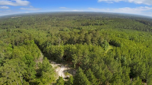 380 County Road 029, Jasper, TX 75951 - photo 34