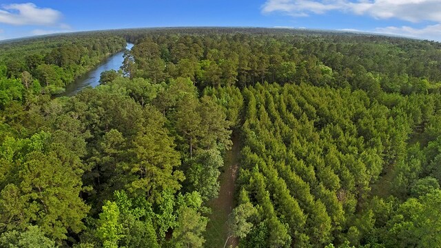 380 County Road 029, Jasper, TX 75951 - photo 33