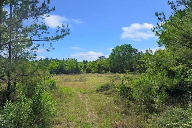 380 County Road 029, Jasper, TX 75951 - photo 23