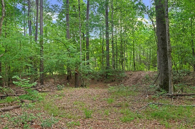 380 County Road 029, Jasper, TX 75951 - photo 18