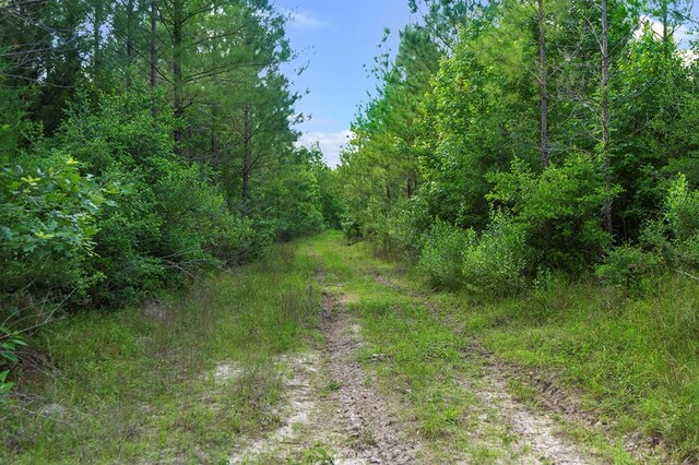 380 County Road 029, Jasper, TX 75951 - photo 24