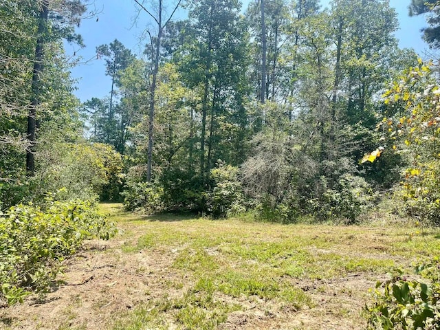 view of local wilderness