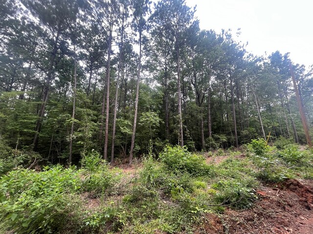 TRACT57 Fm 1751, San Augustine, TX 75972