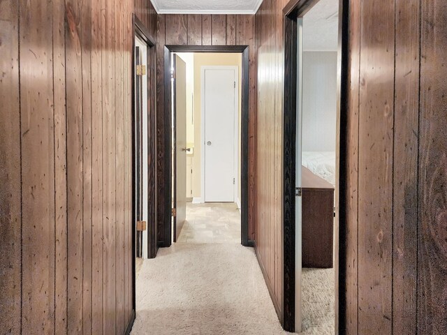 906 Richardson Dr, Jasper, TX 75951 - corridor with carpet flooring, wooden walls, and crown molding