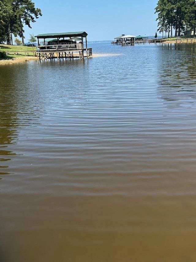 water view featuring a dock