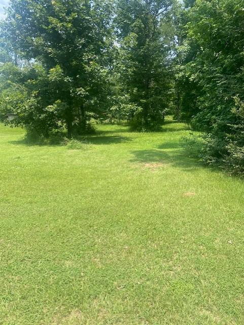 203 County Road 577, Nacogdoches, TX 75961 - photo 2