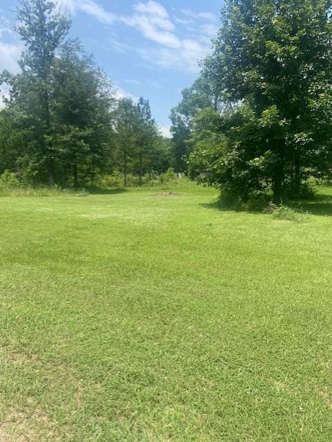 203 County Road 577, Nacogdoches, TX 75961 - photo 3