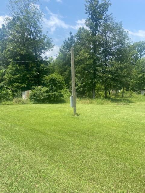 203 County Road 577, Nacogdoches, TX 75961 - photo 4