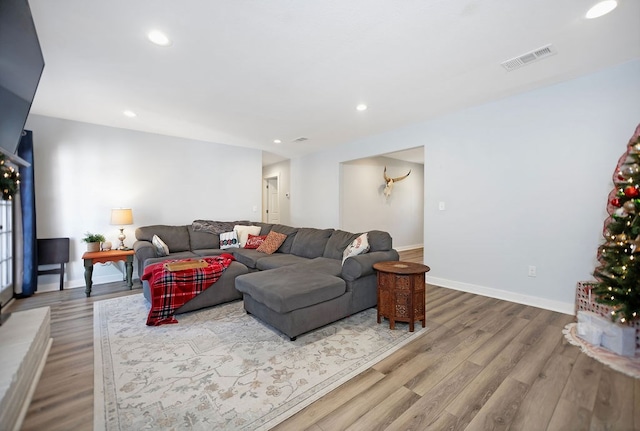 living room featuring wood-type flooring