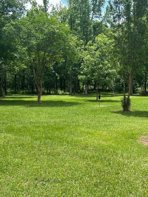 30657ID Fm 353, Shelbyville, TX 75936 - photo 20