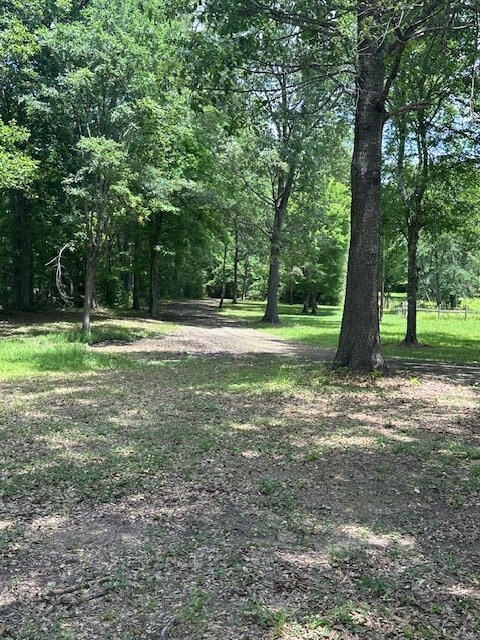 30657ID Fm 353, Shelbyville, TX 75936 - photo 16