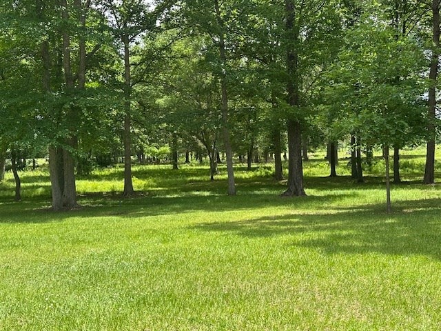 30657ID Fm 353, Shelbyville, TX 75936 - photo 22