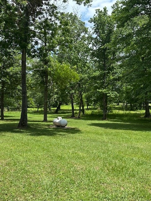 30657ID Fm 353, Shelbyville, TX 75936 - photo 21