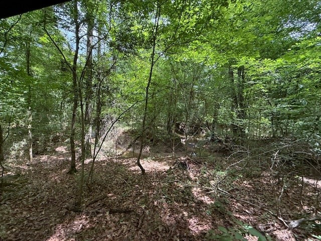 30657ID Fm 353, Shelbyville, TX 75936 - photo 10