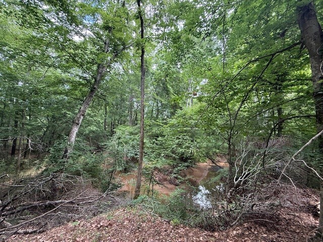 30657ID Fm 353, Shelbyville, TX 75936 - photo 8