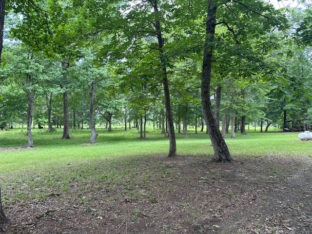 30657ID Fm 353, Shelbyville, TX 75936 - photo 35