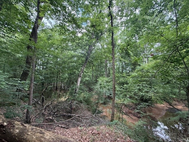 30657ID Fm 353, Shelbyville, TX 75936 - photo 9