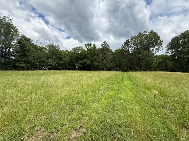 30657ID Fm 353, Shelbyville, TX 75936 - photo 6