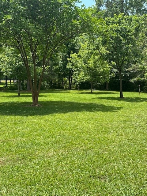 30657ID Fm 353, Shelbyville, TX 75936 - photo 18