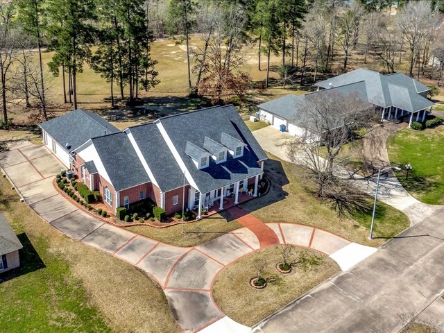 bird's eye view