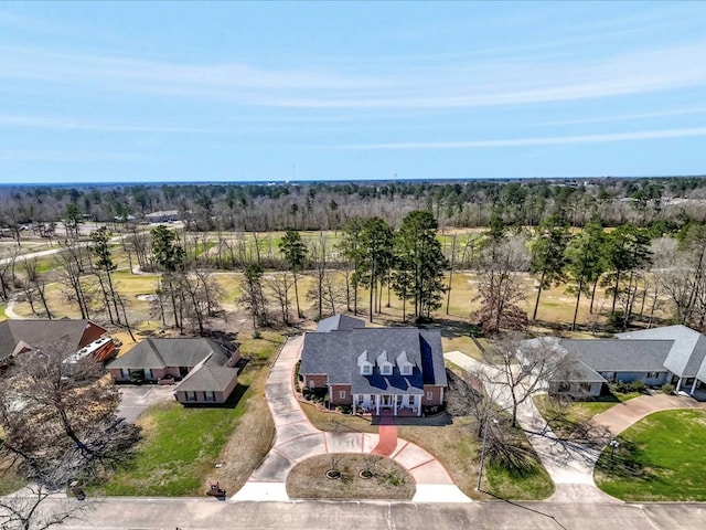drone / aerial view