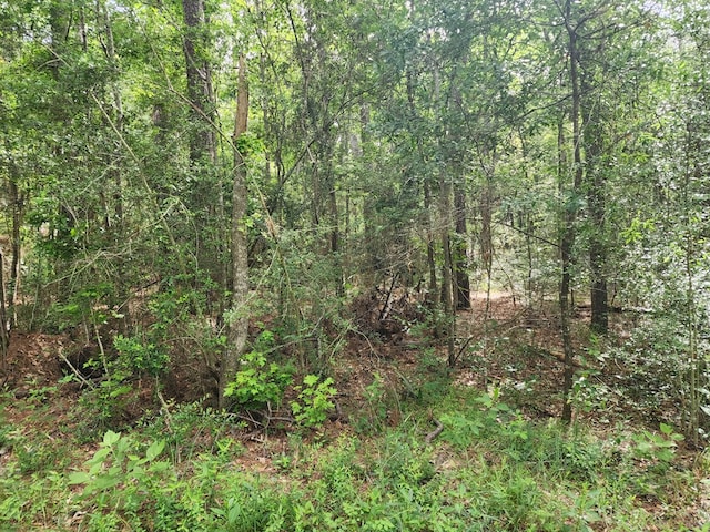 10ACRES Bronx Rd, Saratoga, TX 77585