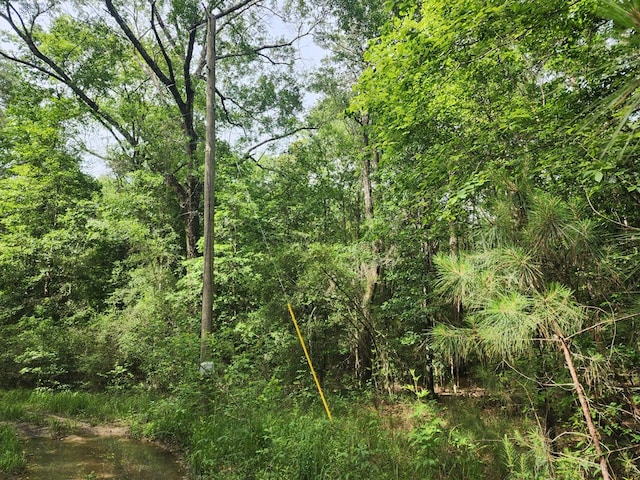 10ACRES Bronx Rd, Saratoga, TX 77585