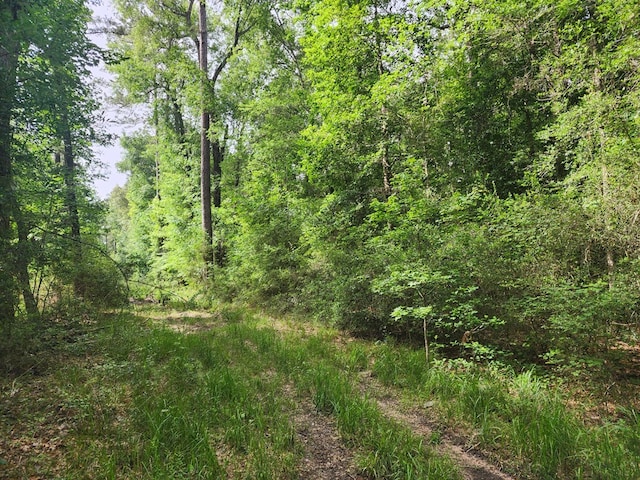 10ACRES Bronx Rd, Saratoga, TX 77585