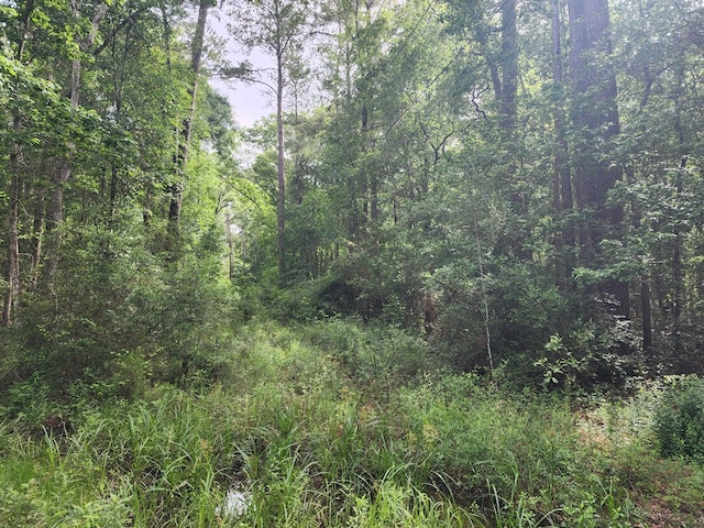 10ACRES Bronx Rd, Saratoga, TX 77585