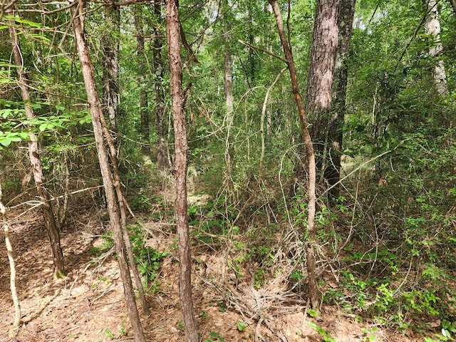 10ACRES Bronx Rd, Saratoga, TX 77585