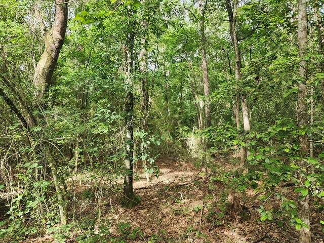 10ACRES Bronx Rd, Saratoga, TX 77585